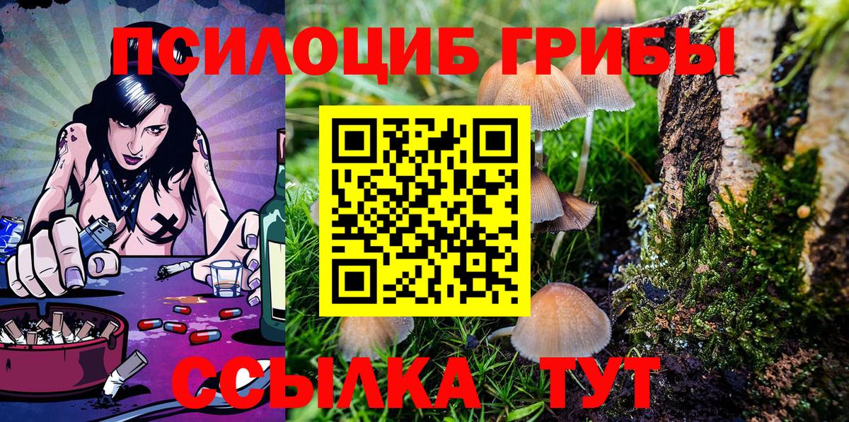 Волжск  Галлюциногенные грибы MAGIC MUSHROOMS  Вход с VPN 